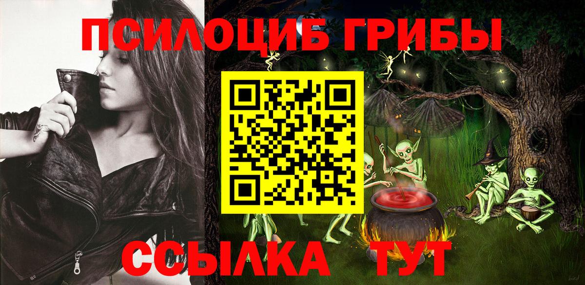 купить наркоту  Вход с VPN  Долгопрудный  Псилоцибиновые грибы ЛСД 