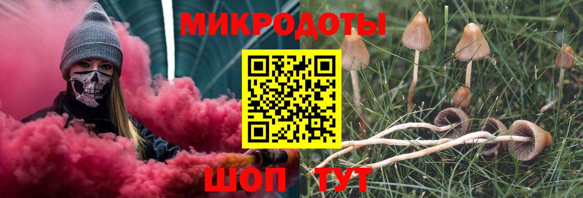 Псилоцибиновые грибы Psilocybine cubensis Долгопрудный